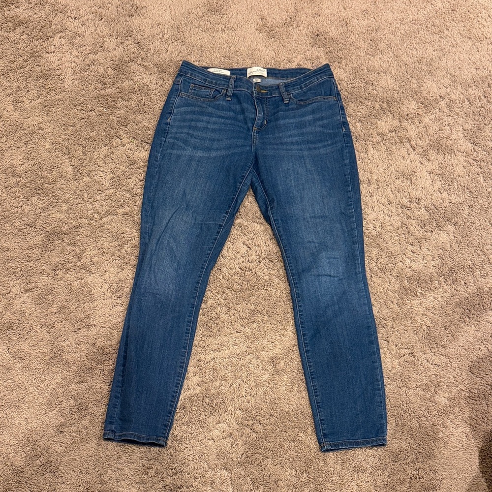 Universal Thread Women's Indigo Skinny Jeans